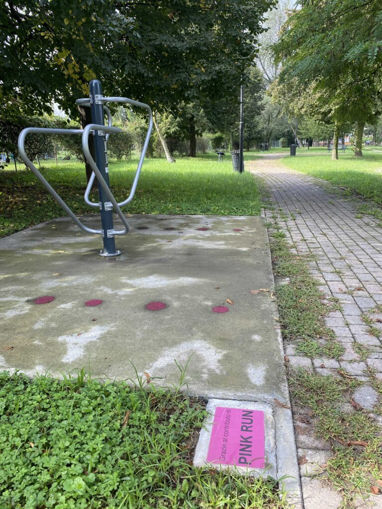 viale d'ingresso del parco Albero del tesoro con le postazioni per il fitness all'aperto